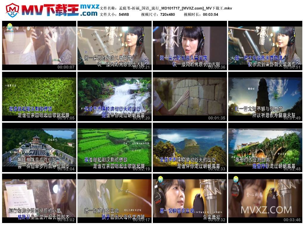 孟庭苇-祈福_国语_流行_MD101717